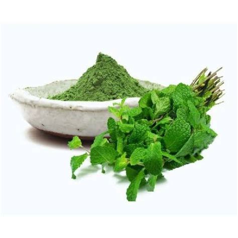 Mint Powder moisture meter|mint leaf powder.